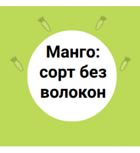Манго: сорт без волокон