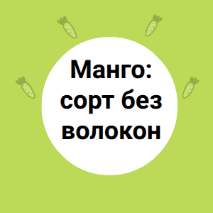 Манго: сорт без волокон