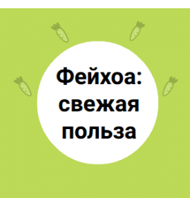 Фейхоа: свежая польза