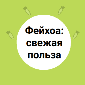 Фейхоа: свежая польза