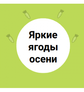 Яркие ягоды осени