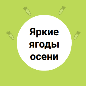 Яркие ягоды осени