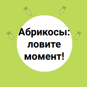 Абрикосы: ловите момент!