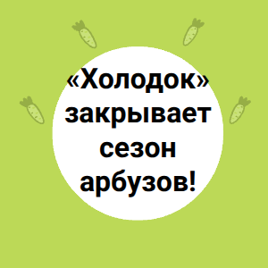 «Холодок» закрывает сезон арбузов!