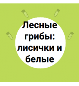 Лесные грибы: лисички и белые