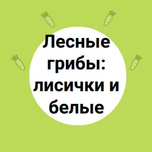 Лесные грибы: лисички и белые