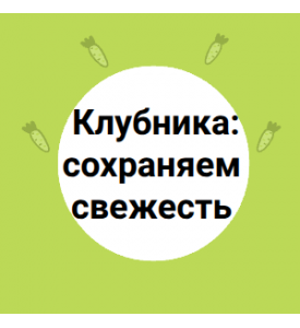 Клубника: сохраняем свежесть