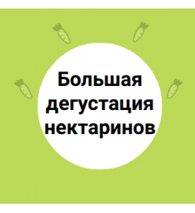 Большая дегустация нектаринов!