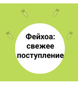 Фейхоа: свежее поступление