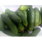 Луховицкие Огурцы 1 кг