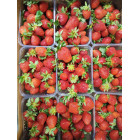 Клубника 1 кг, Крымская-Краснодарская