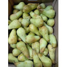 Груша Пакхамс, 1 кг Груша Пакхамс, 1 кг