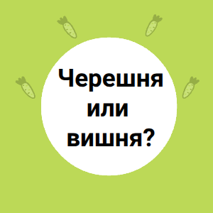 Черешня или вишня?