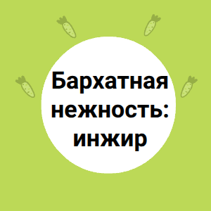 Бархатная нежность: инжир
